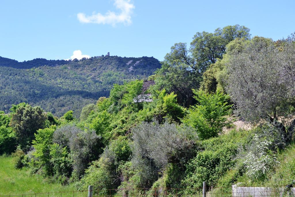 Condado De San Martin Διαμέρισμα Boltaña Εξωτερικό φωτογραφία